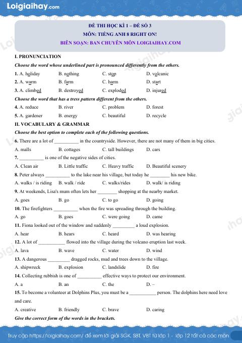 Đề thi học kì 1 Tiếng Anh 8 Right on! - Đề số 3
